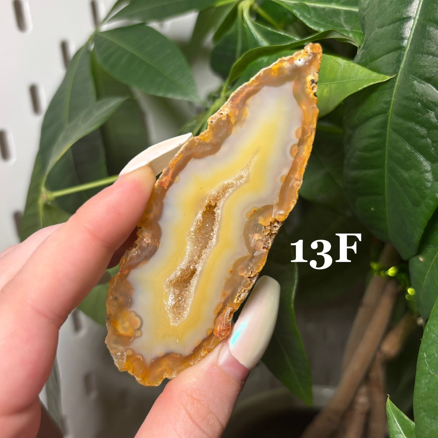 DRUZY AGATE SLABS