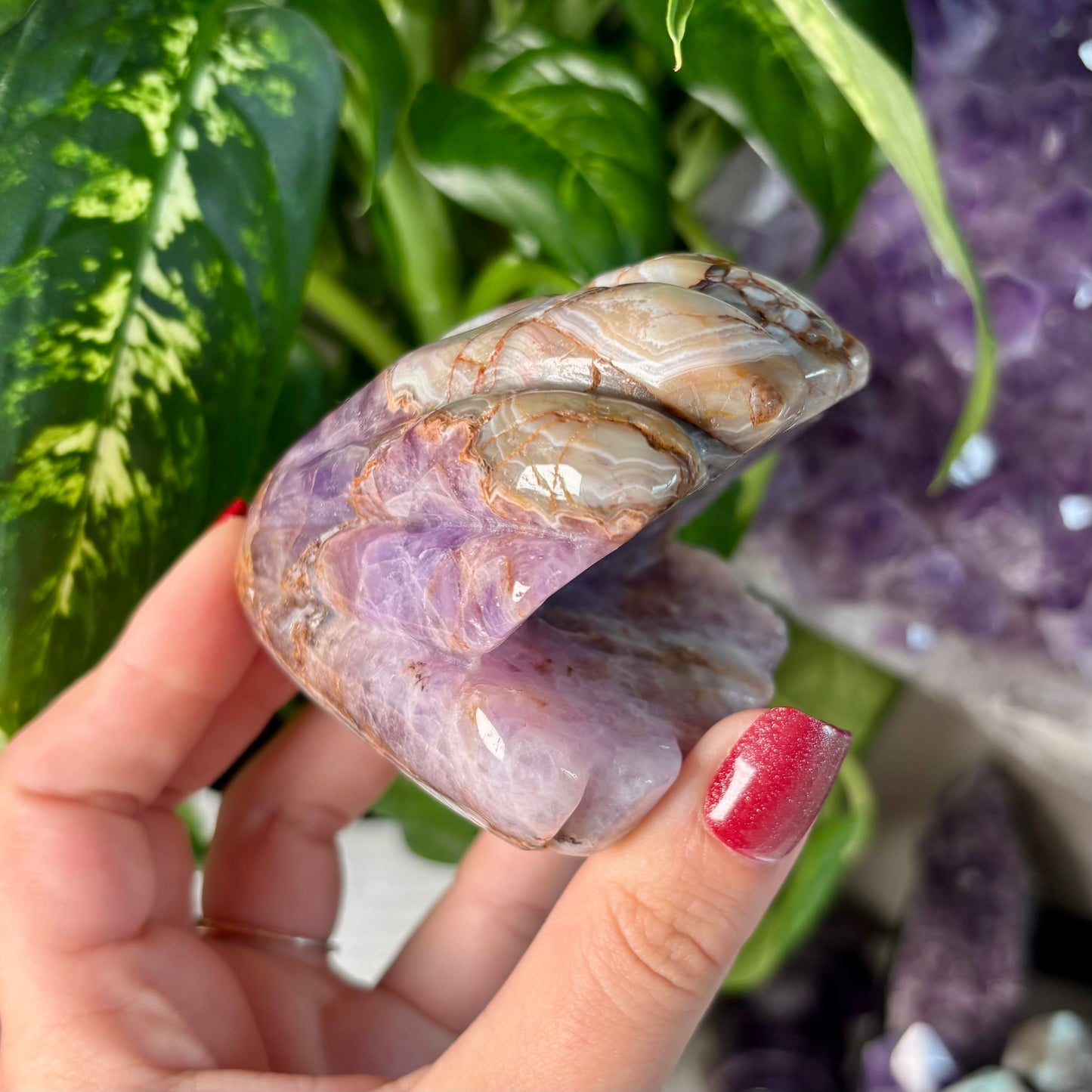 AMETHYST/ MOROCCAN AGATE CLAM