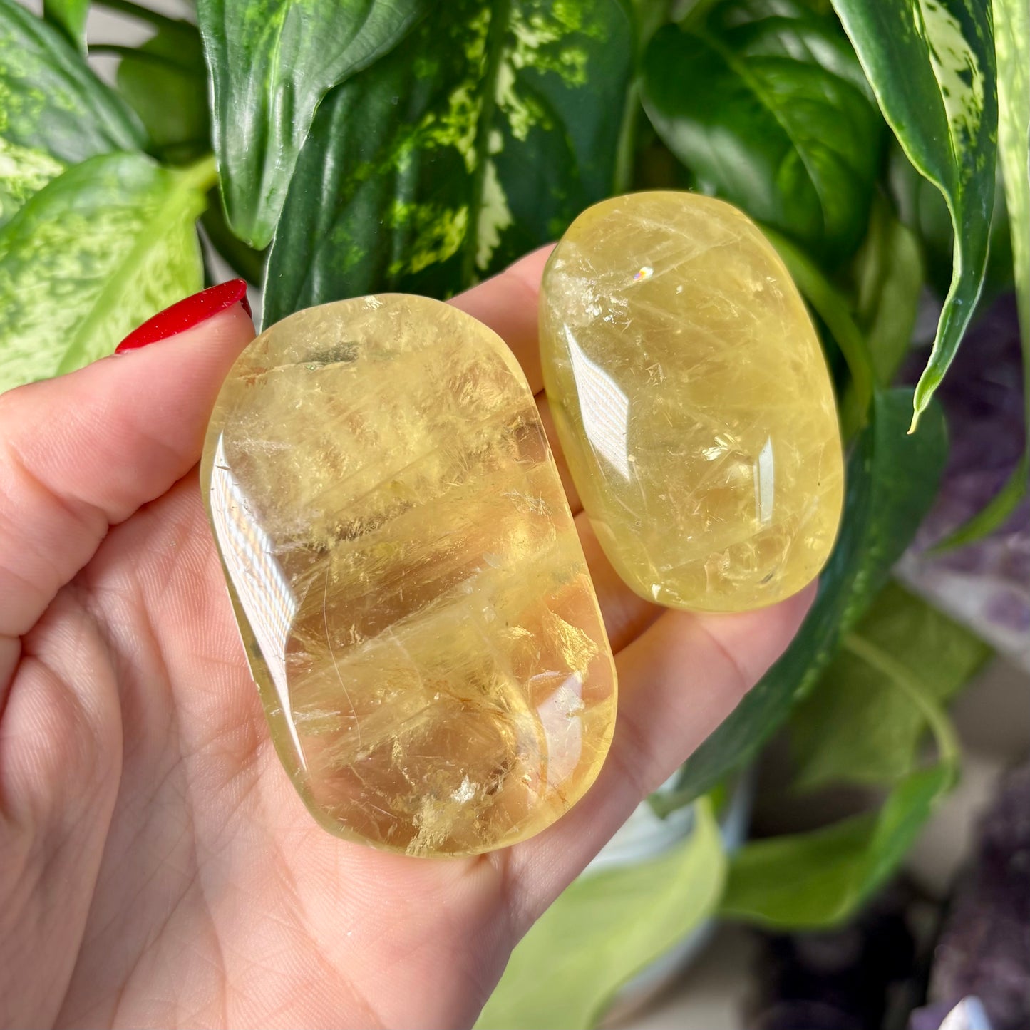 CITRINE PALMSTONES