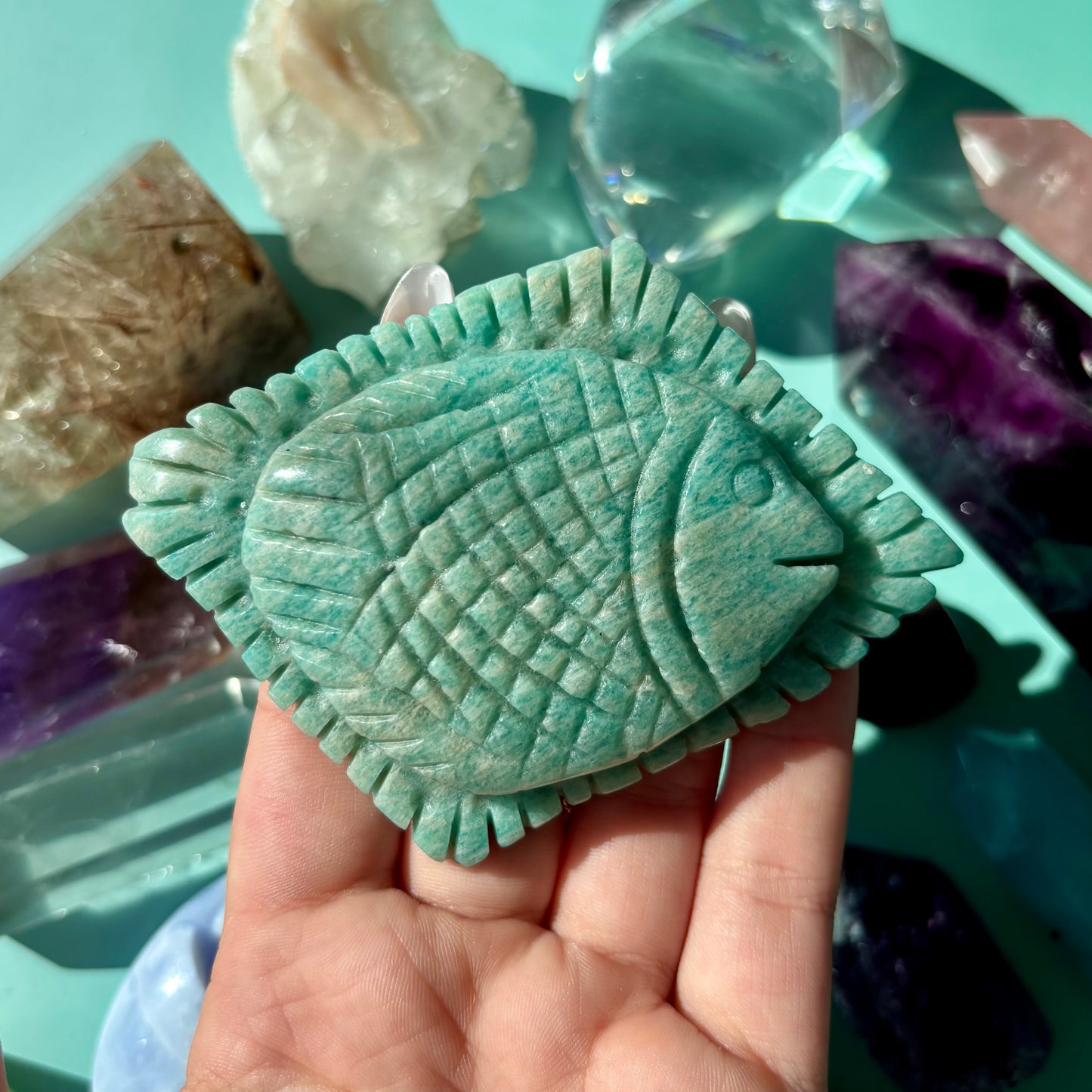 AMAZONITE SEA CREATURES