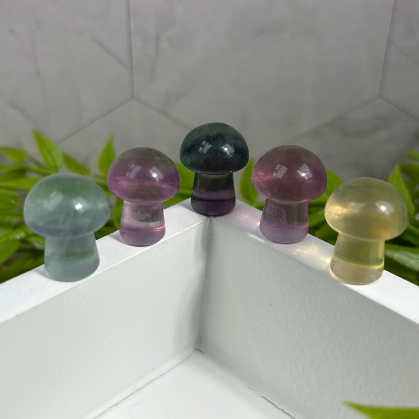 FLUORITE MUSHROOM