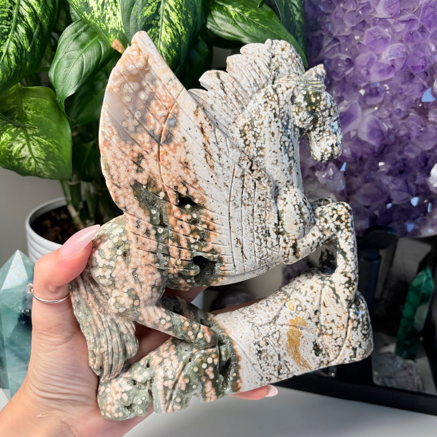 OCEAN JASPER PEGASUS - 588