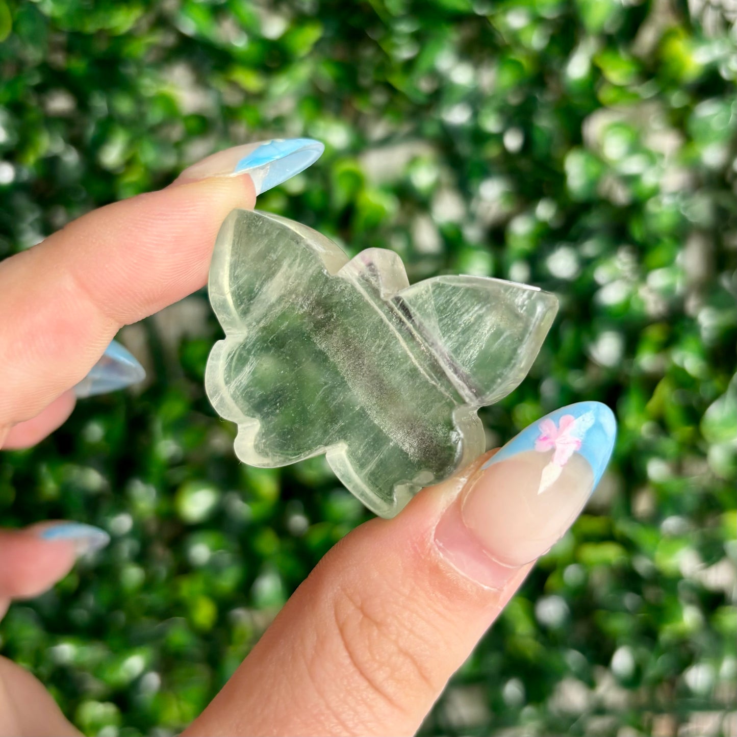 FLUORITE BUTTERFLY