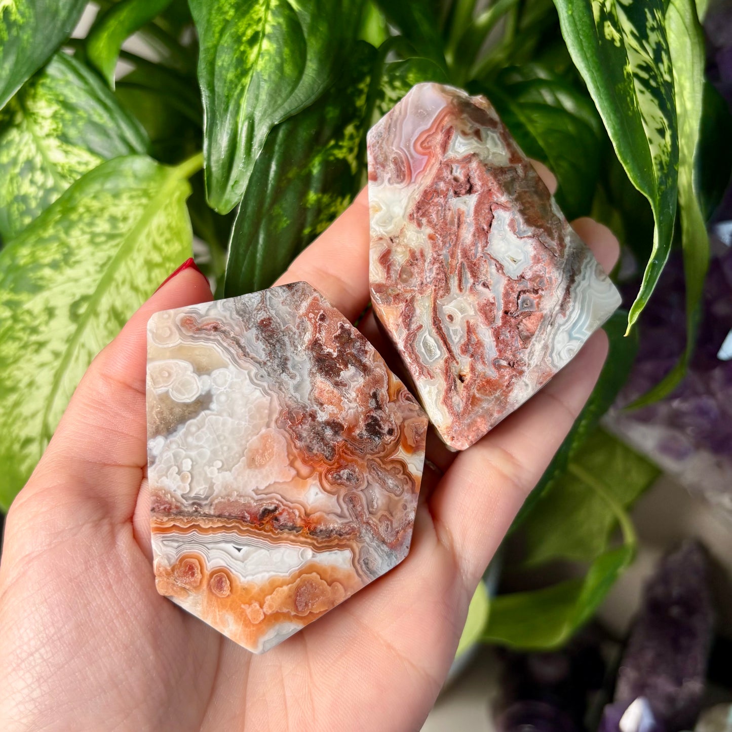 MOROCCAN AGATE FREEFORMS