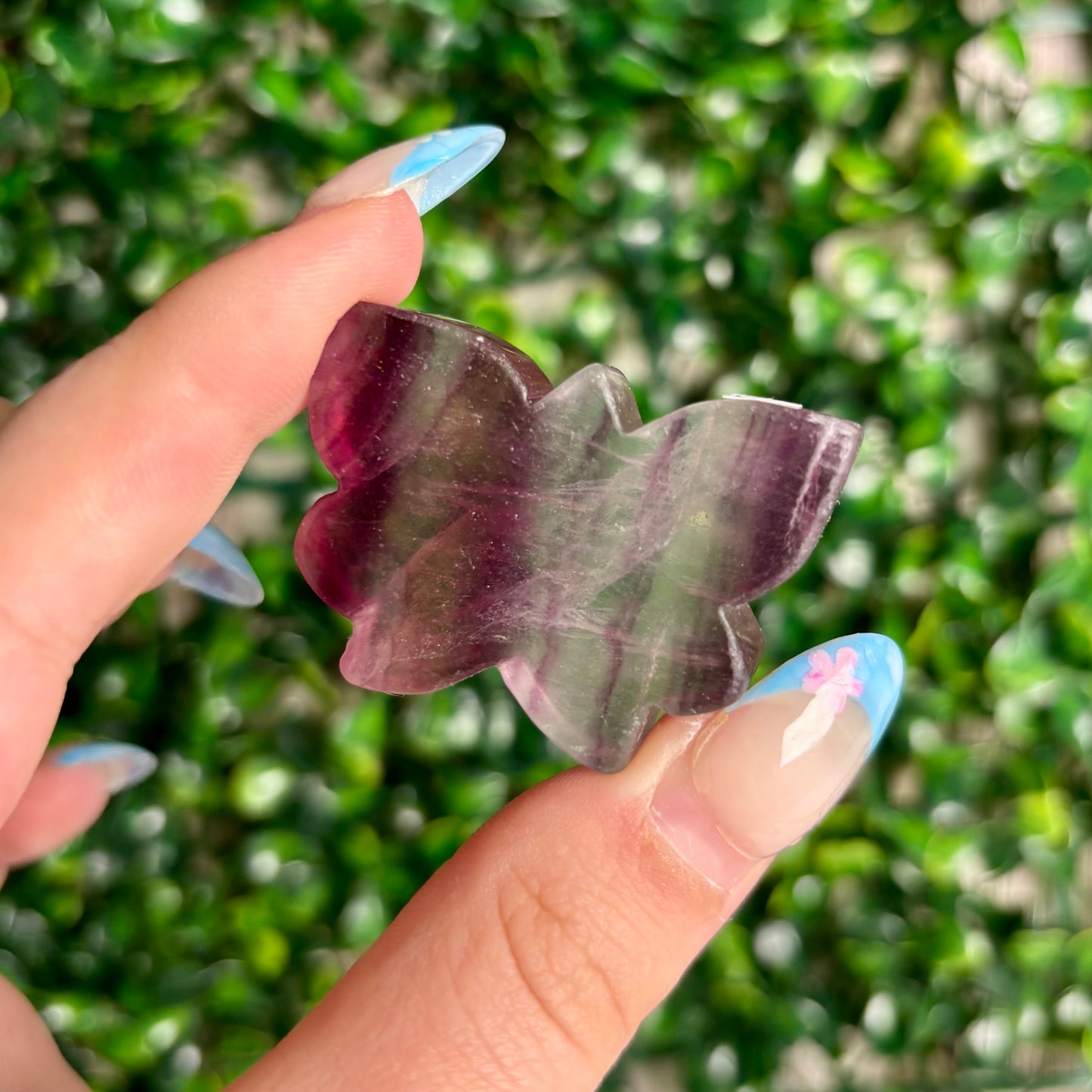 FLUORITE BUTTERFLY