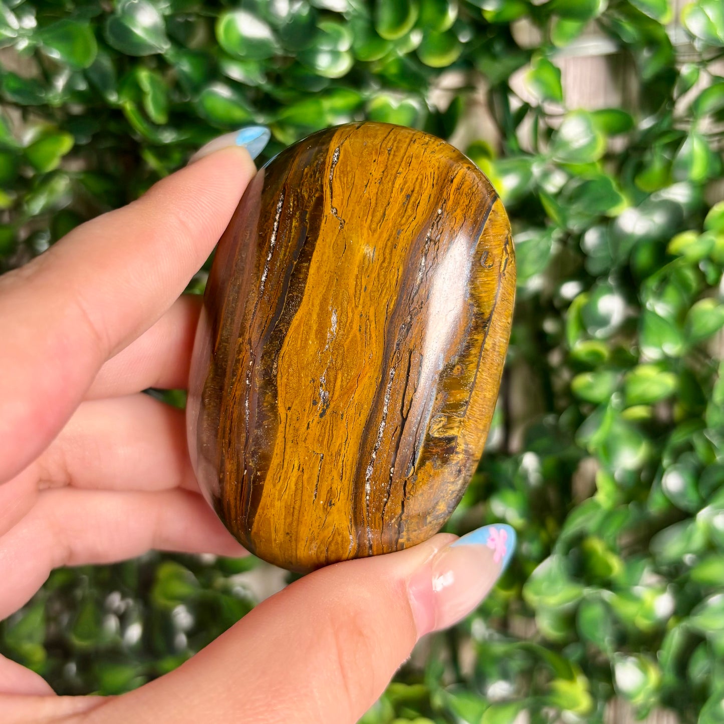 TIGERS EYE PALMSTONES