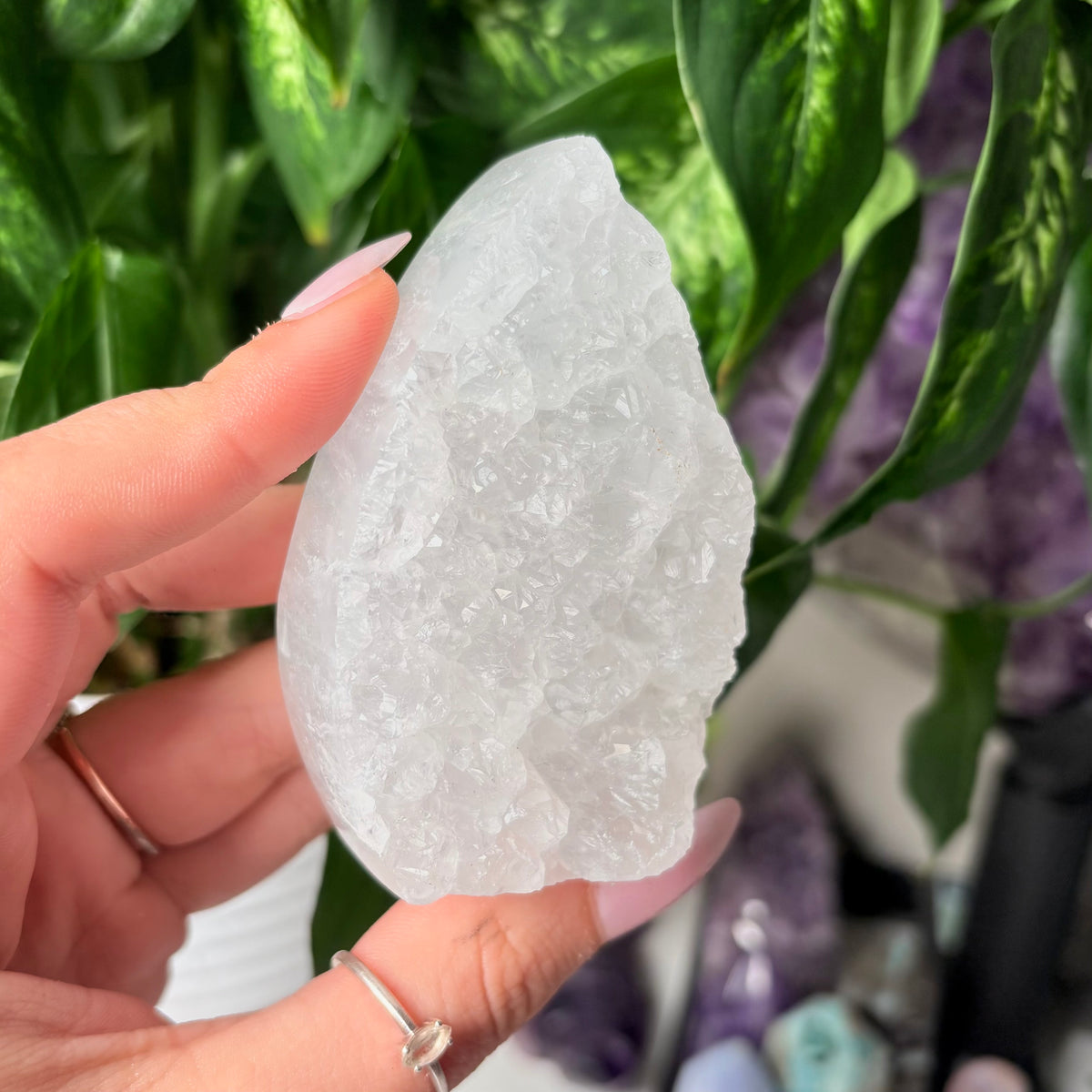 BLUE LACE AGATE FREEFORMS