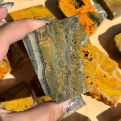 BUMBLEBEE JASPER SLABS