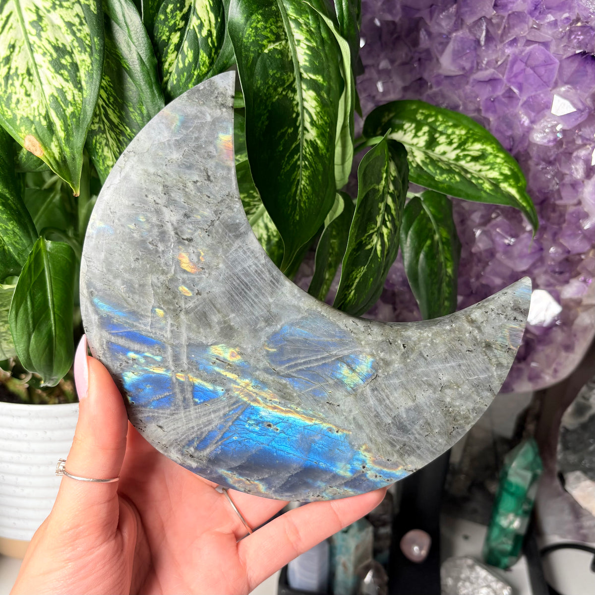 LABRADORITE MOONS