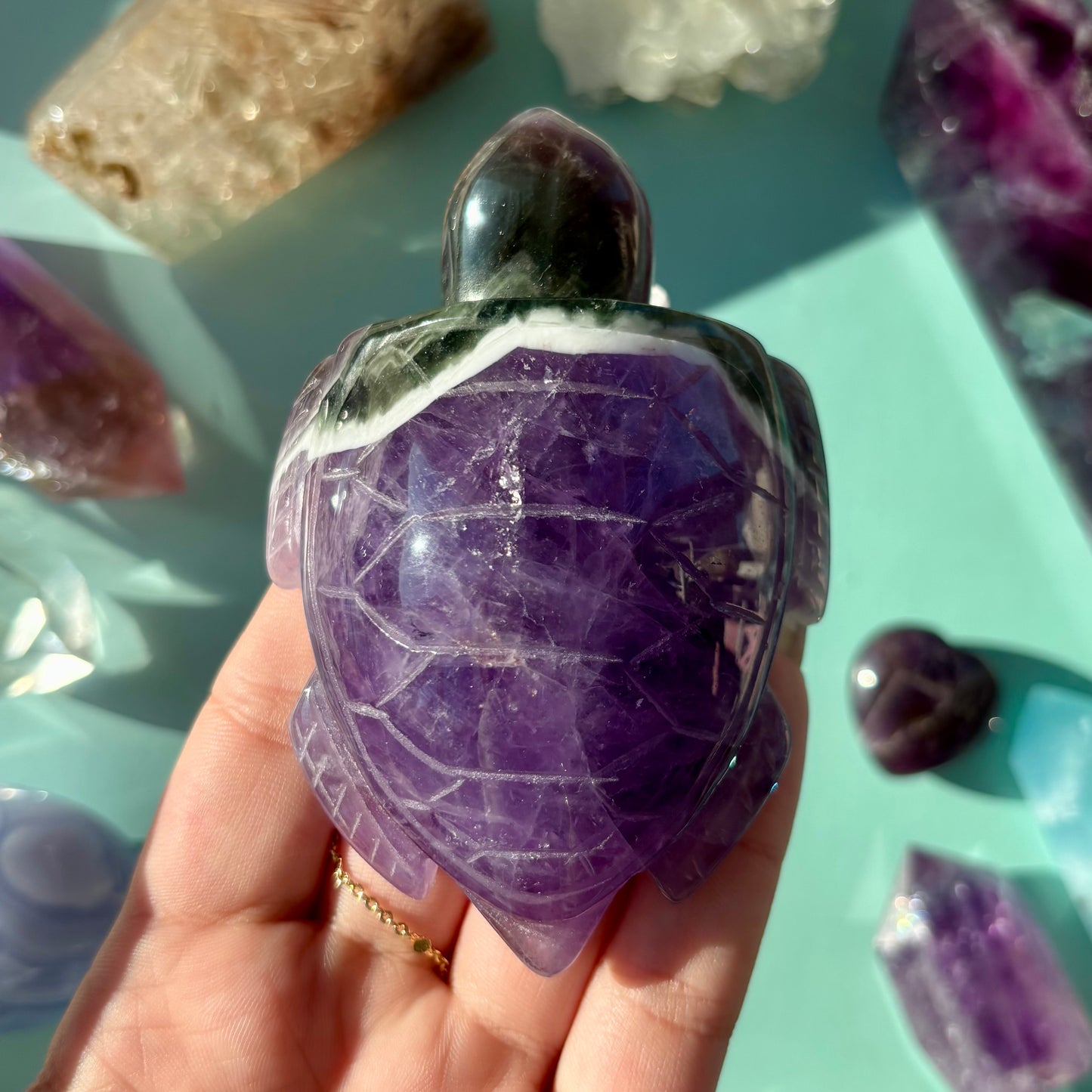 AMETHYST TURTLES
