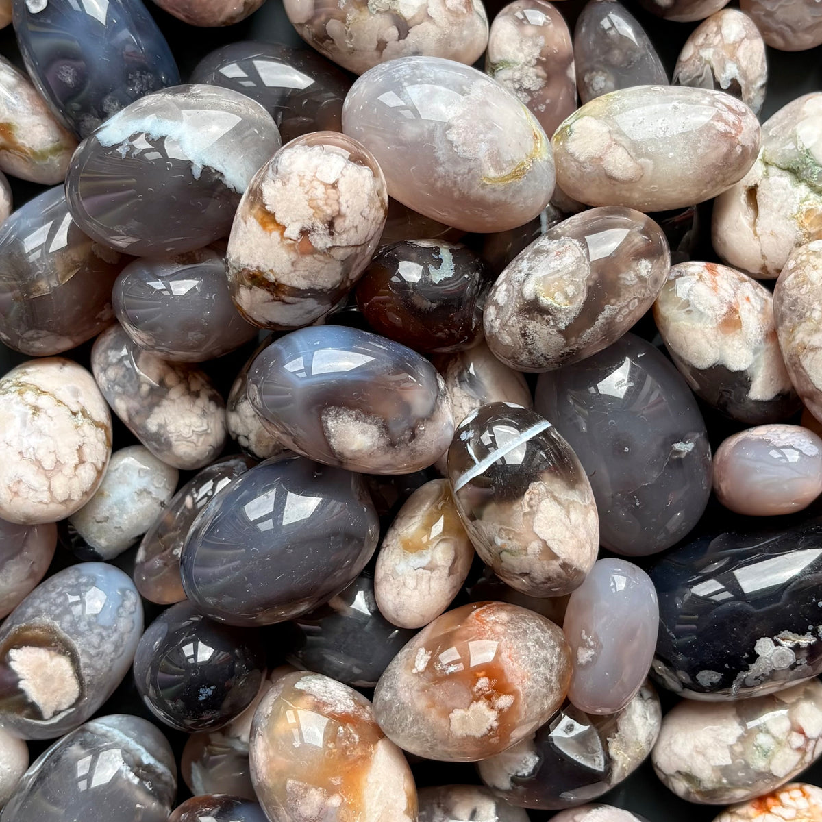 BLACK FLOWER AGATE TUMBLE