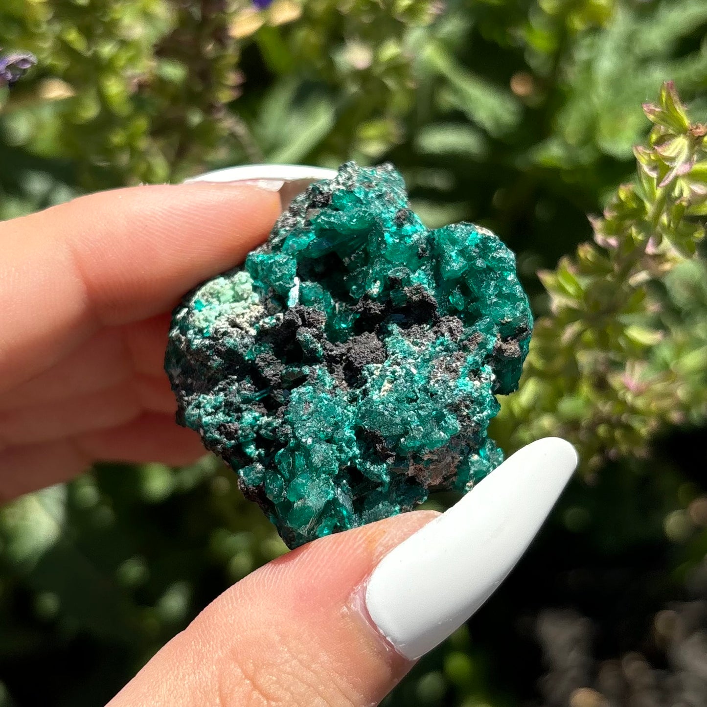 DIOPTASE SPECIMENS