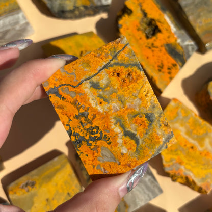 BUMBLEBEE JASPER SLABS