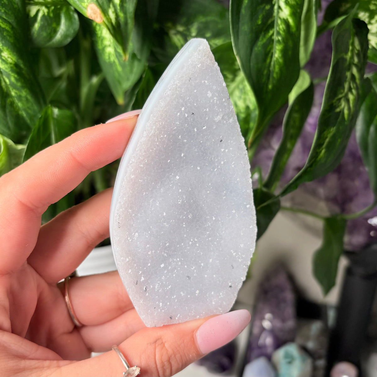 BLUE LACE AGATE FREEFORMS