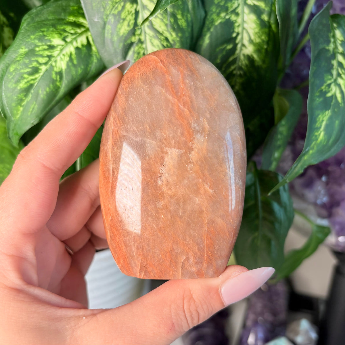 PEACH MOONSTONE FREEFORMS