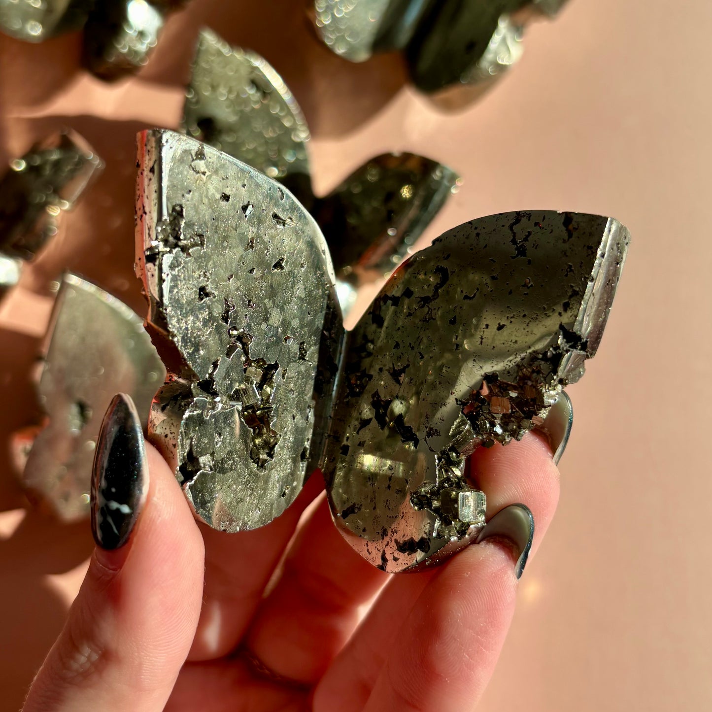 PYRITE BUTTERFLY