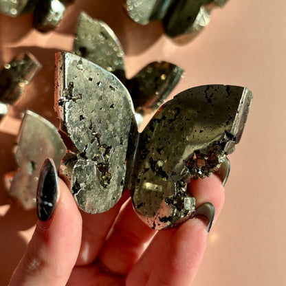PYRITE BUTTERFLY