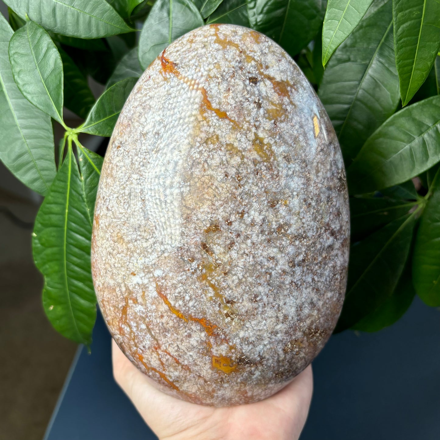 OCEAN JASPER FREEFORM