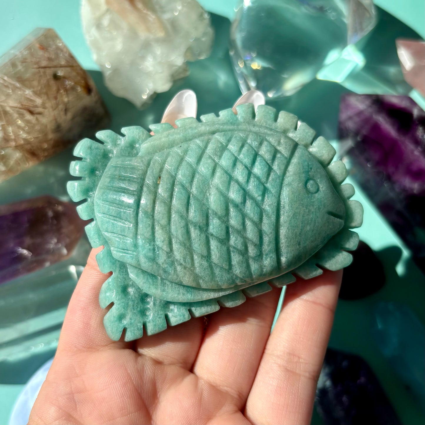 AMAZONITE SEA CREATURES