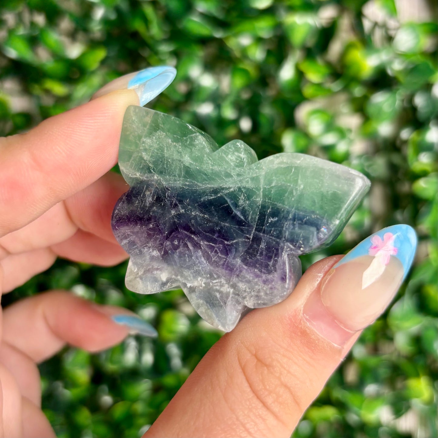 FLUORITE BUTTERFLY