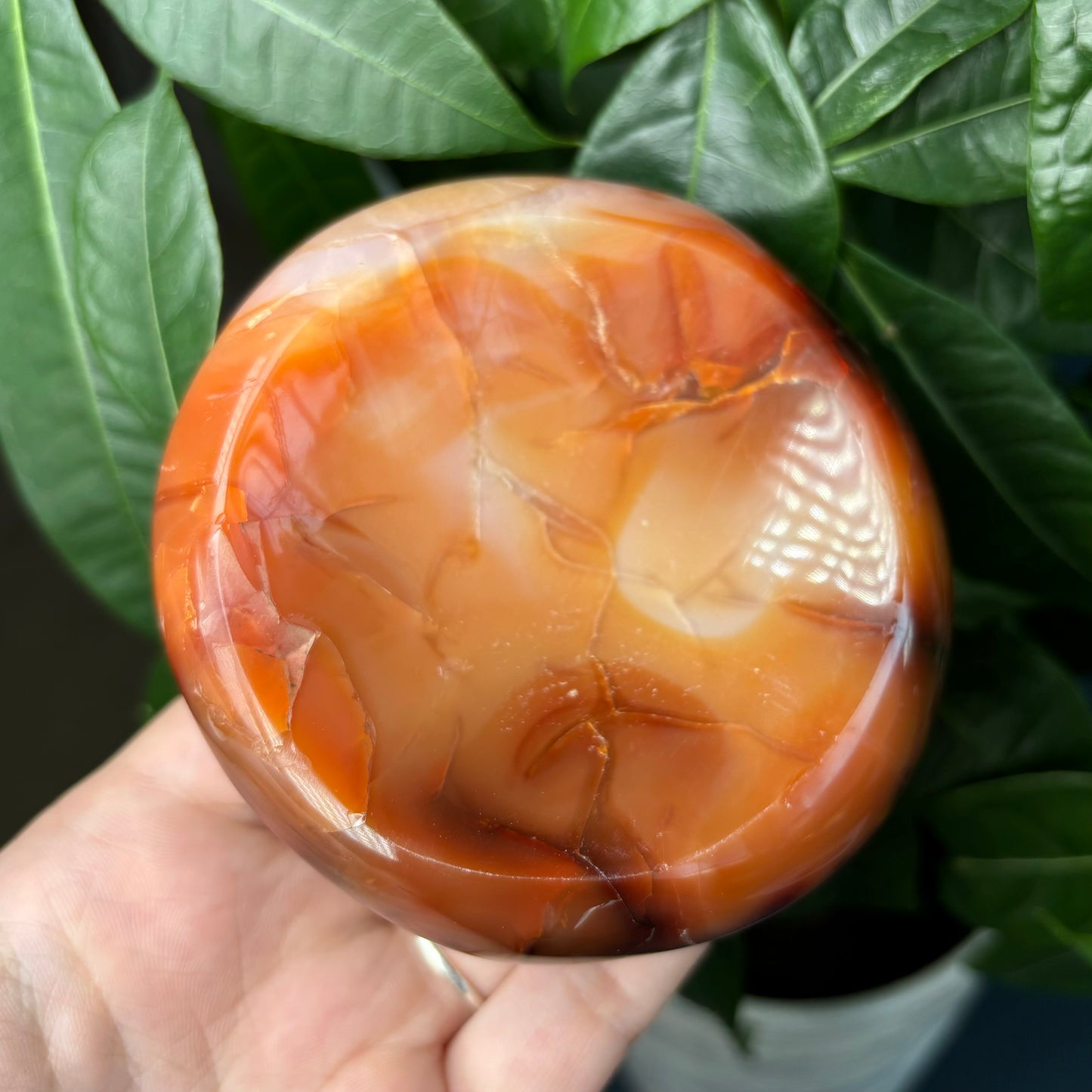 CARNELIAN BOWLS