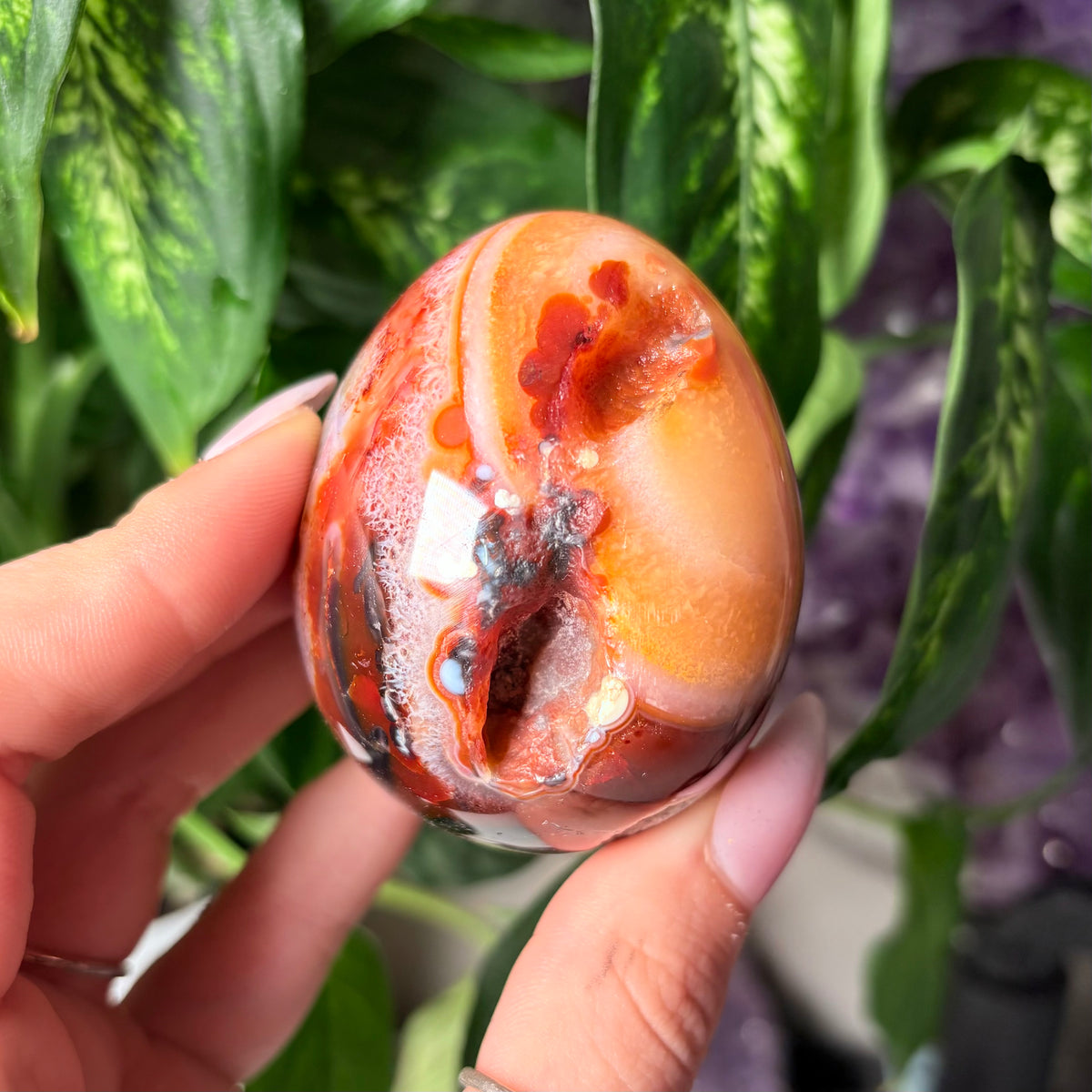 CARNELIAN EGGS