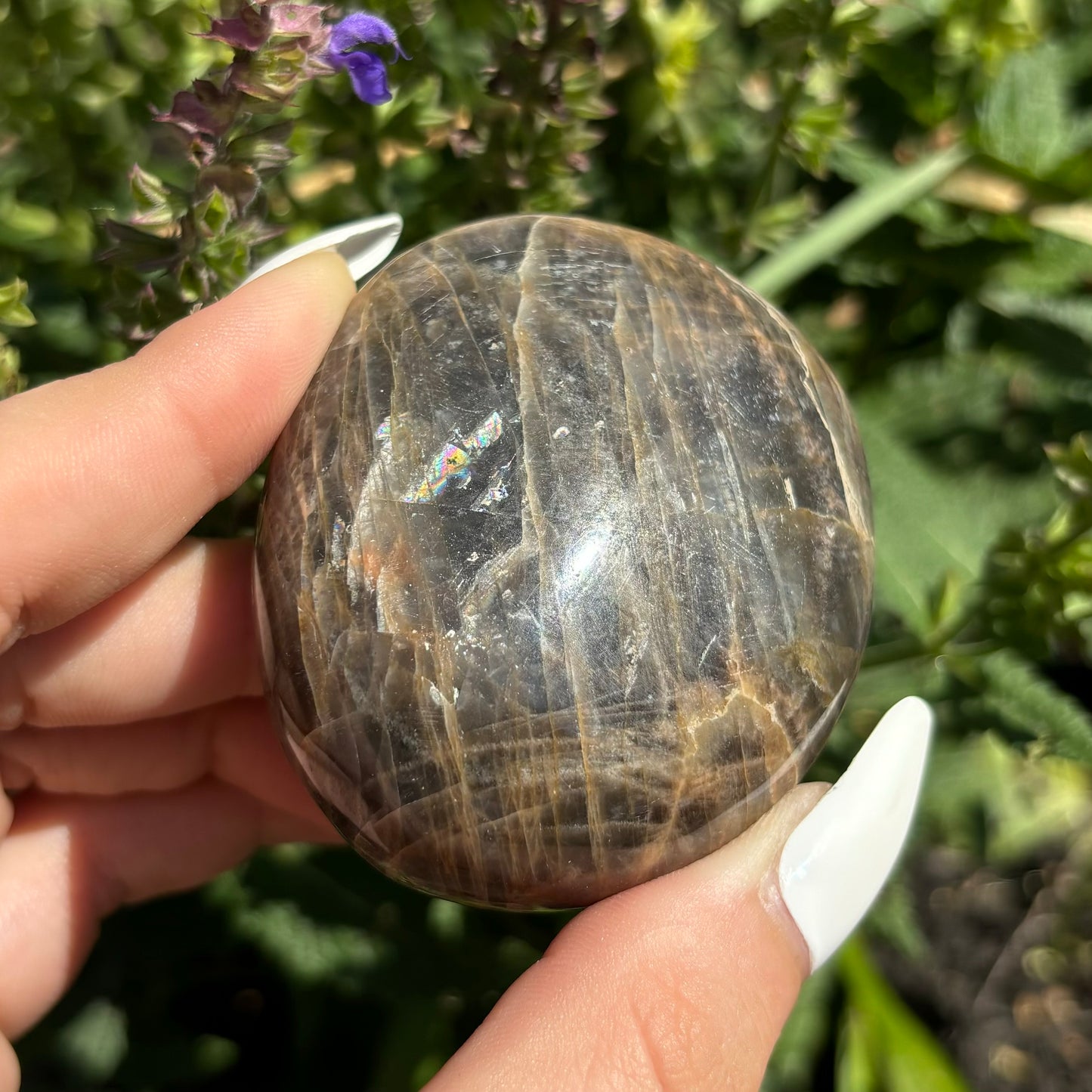 BLACK MOONSTONE PALMSTONES