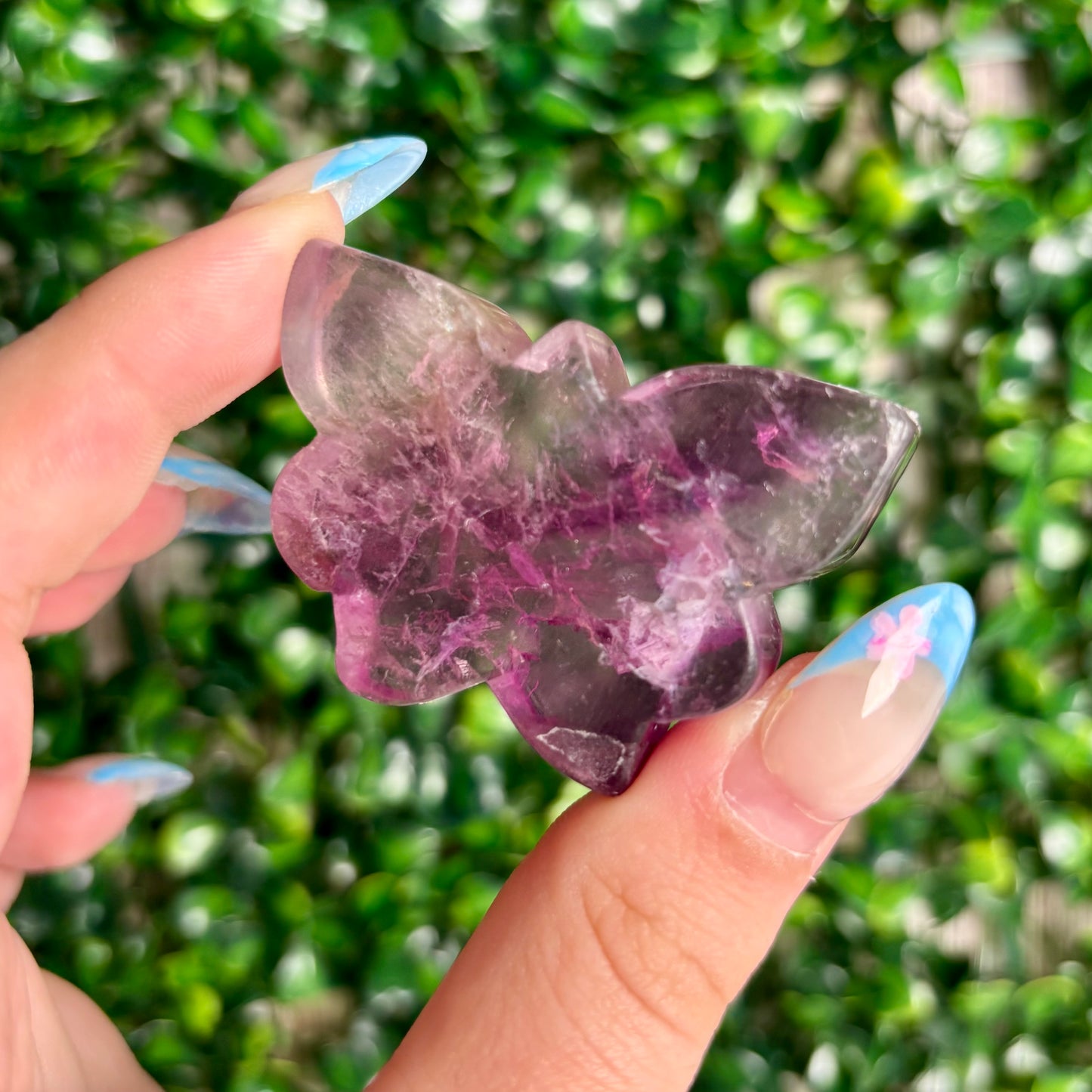 FLUORITE BUTTERFLY