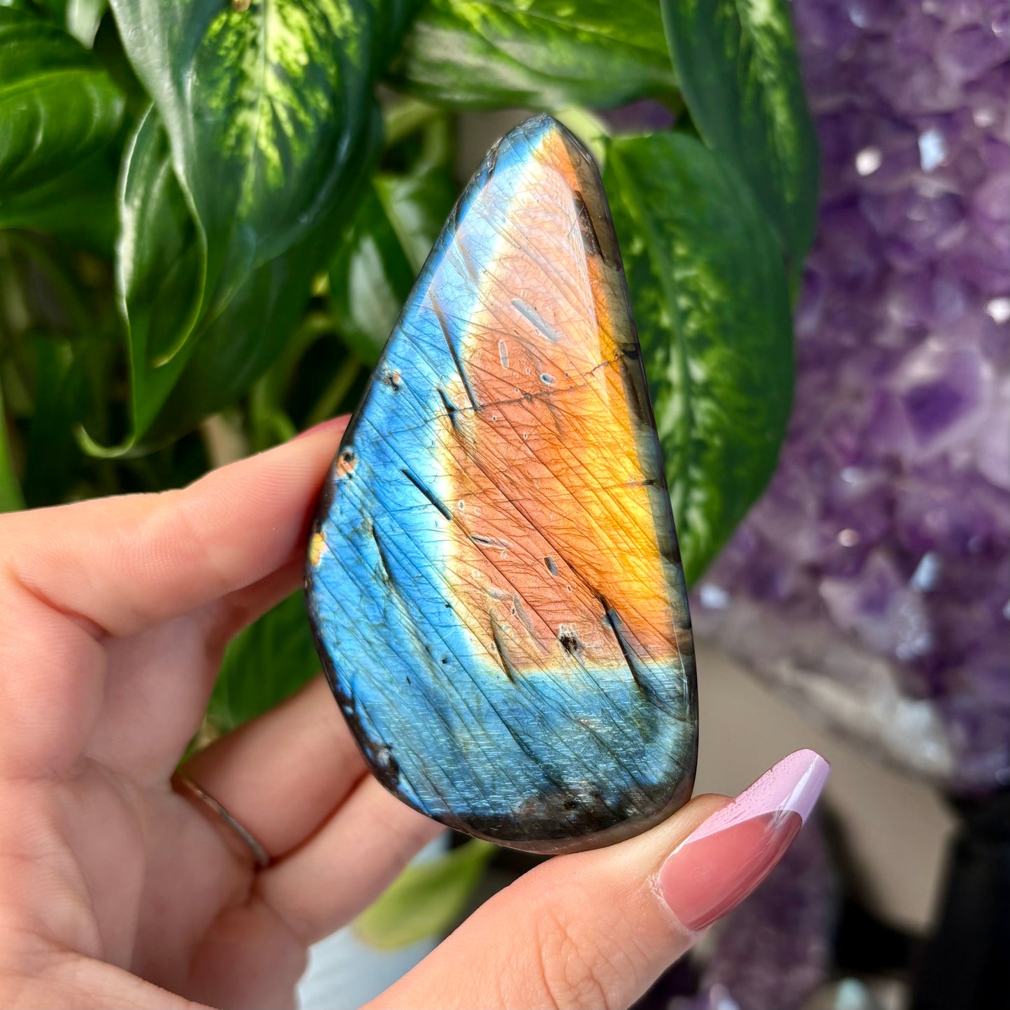 LABRADORITE FREEFORMS