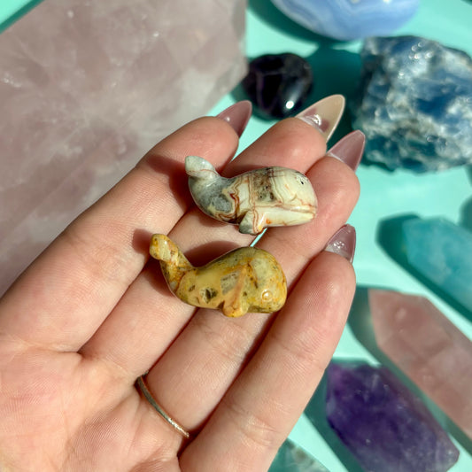CRAZY LACE AGATE WHALES