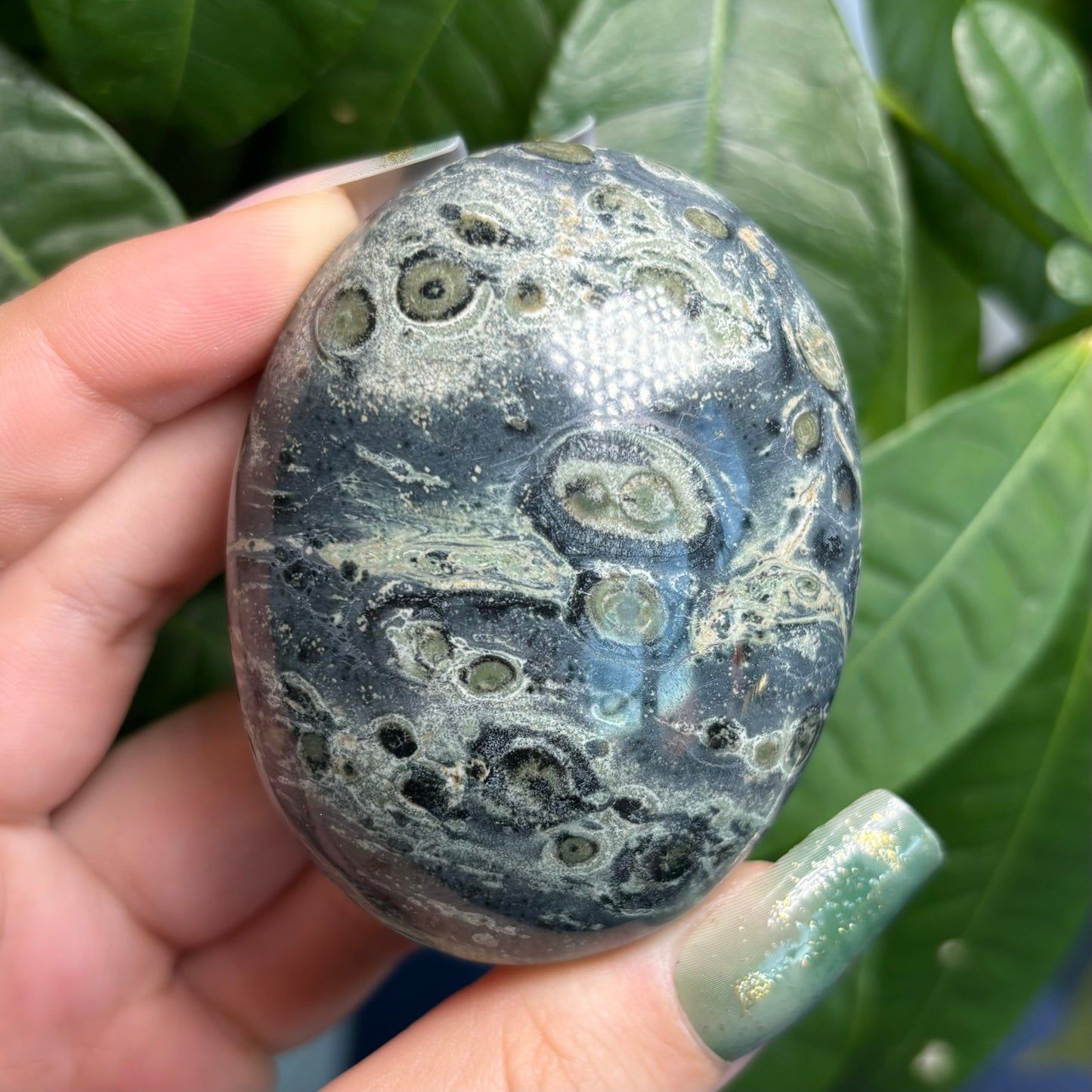 KAMBABA JASPER PALMSTONES