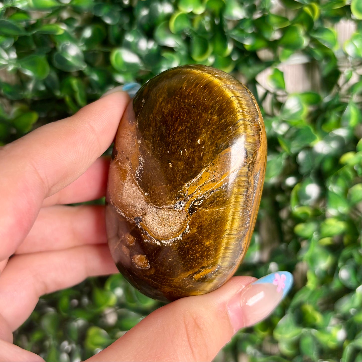 TIGERS EYE PALMSTONES