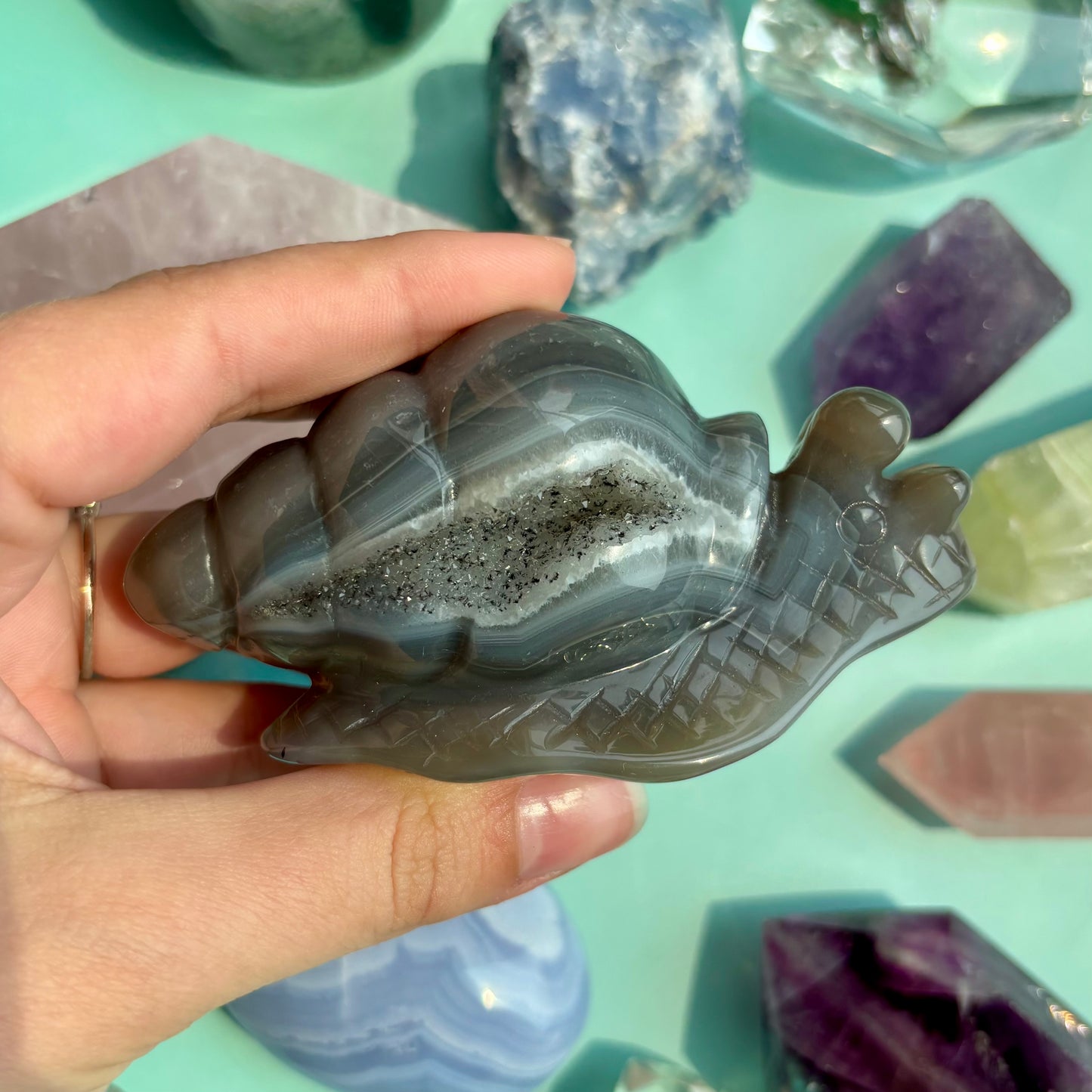 AGATE DRUZY SNAILS