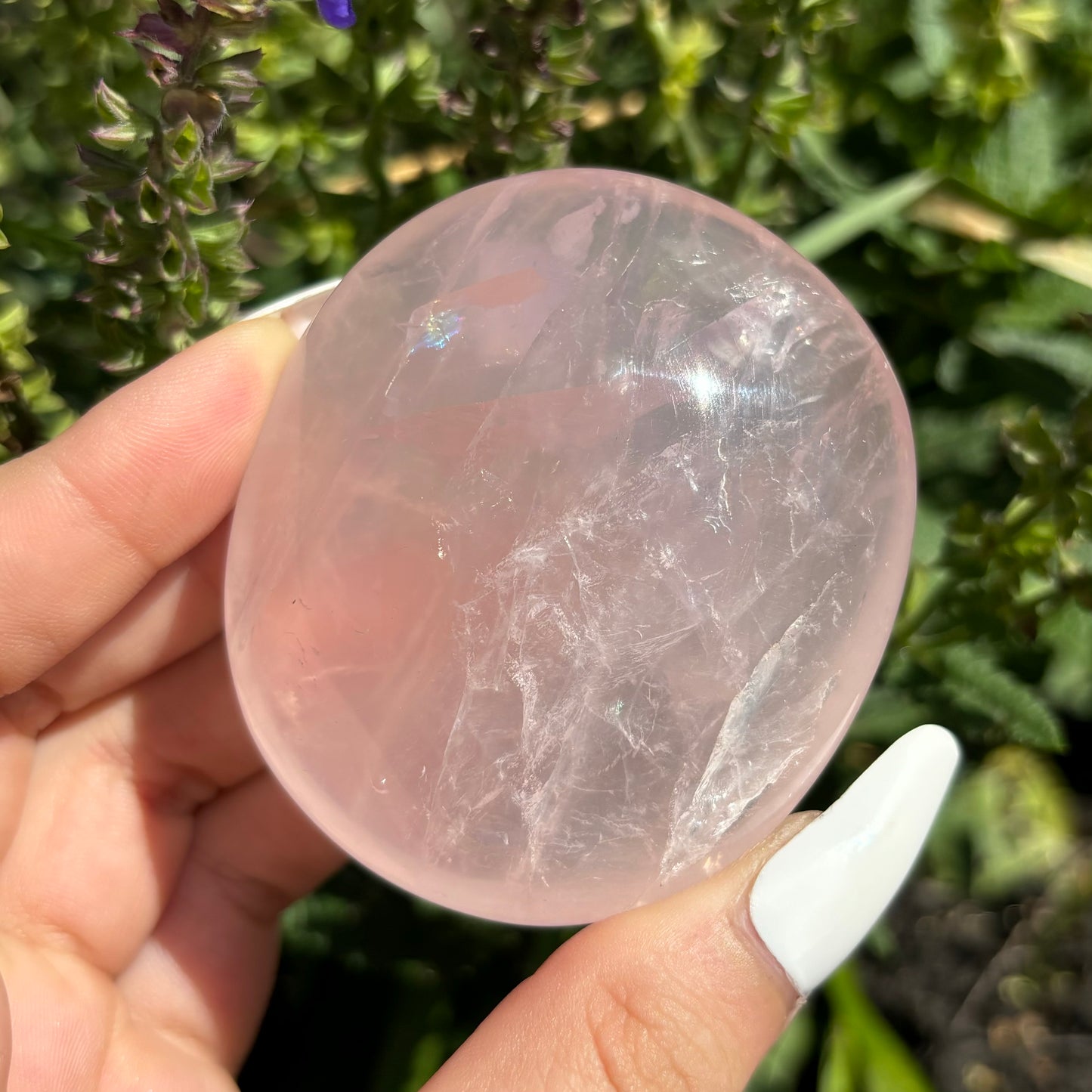 ROSE QUARTZ PALMSTONE