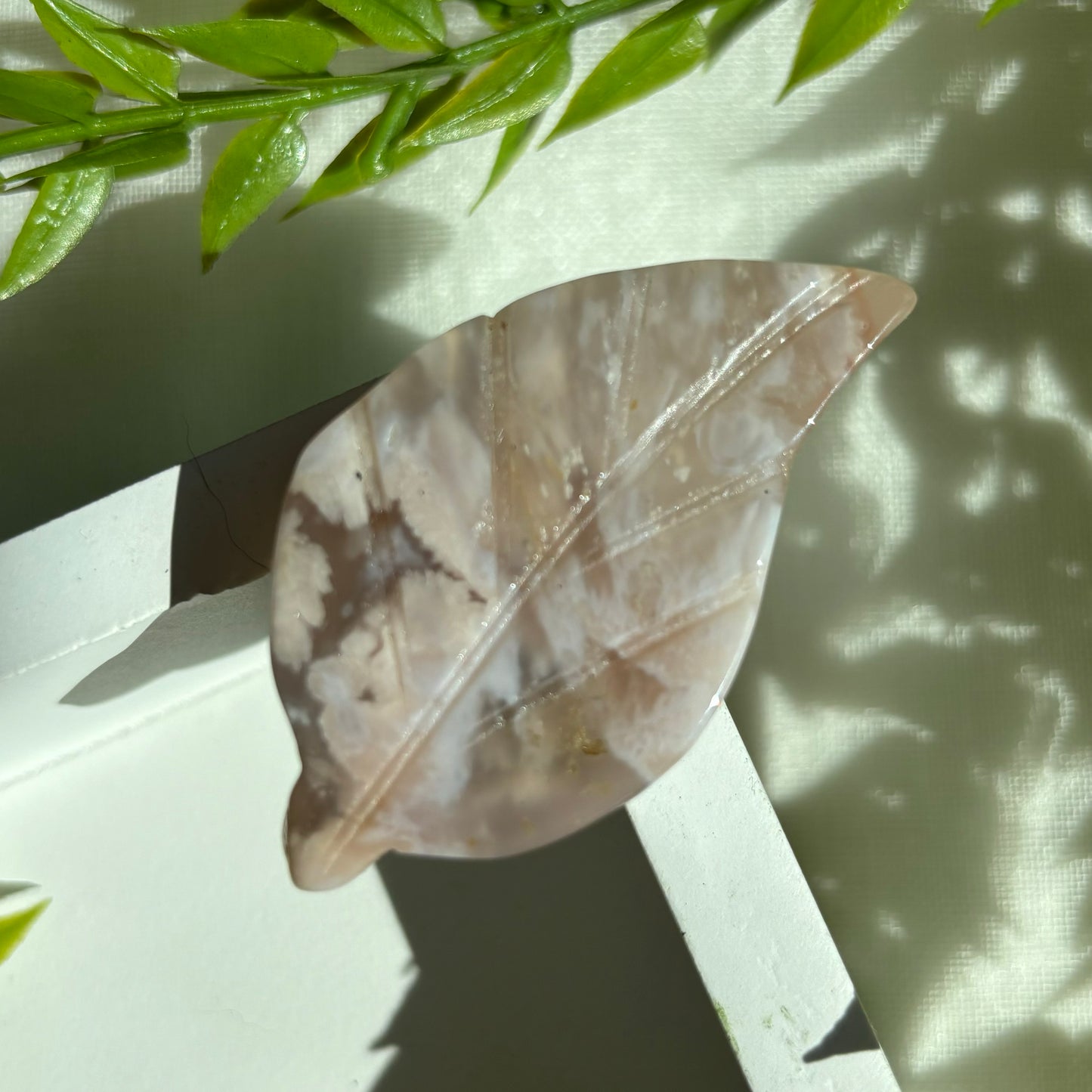 FLOWER AGATE LEAVES