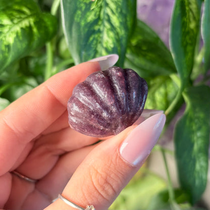 LEPIDOLITE CLAM