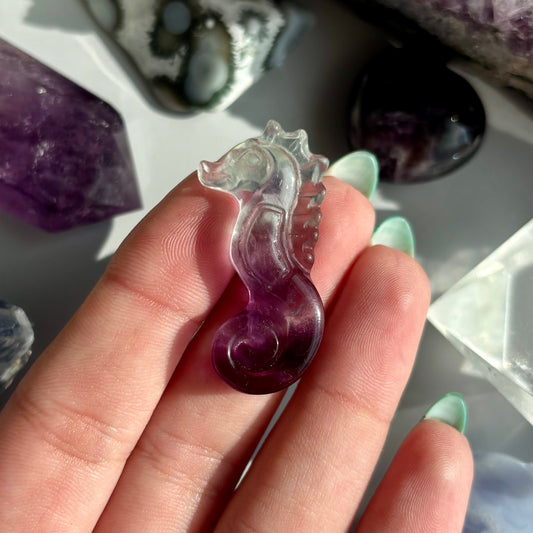 FLUORITE SEAHORSE