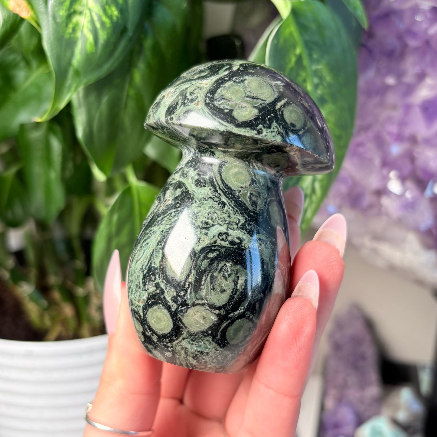 KAMBABA JASPER MUSHROOM