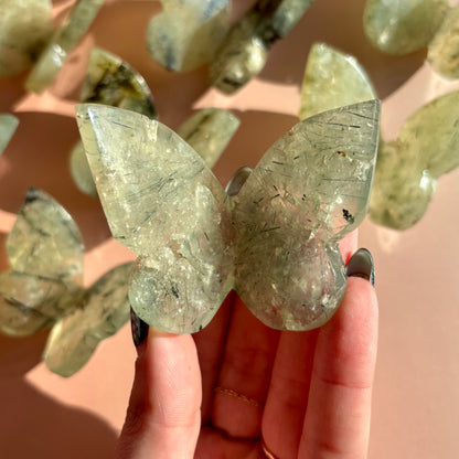 PREHNITE BUTTERFLY