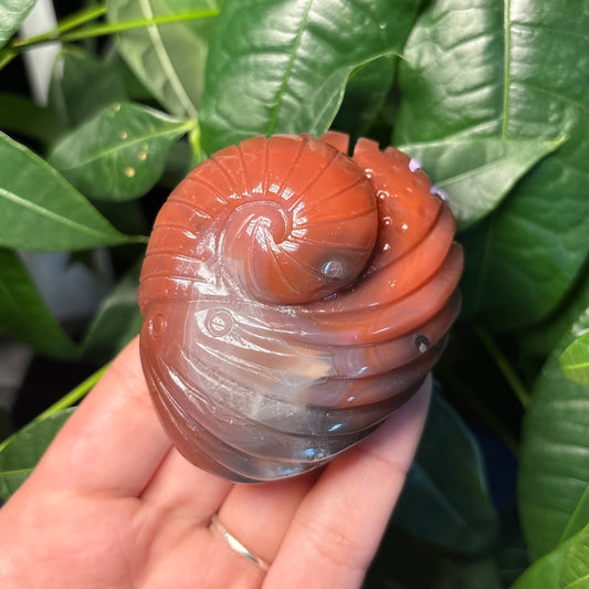 RED AGATE SEA ANIMALS