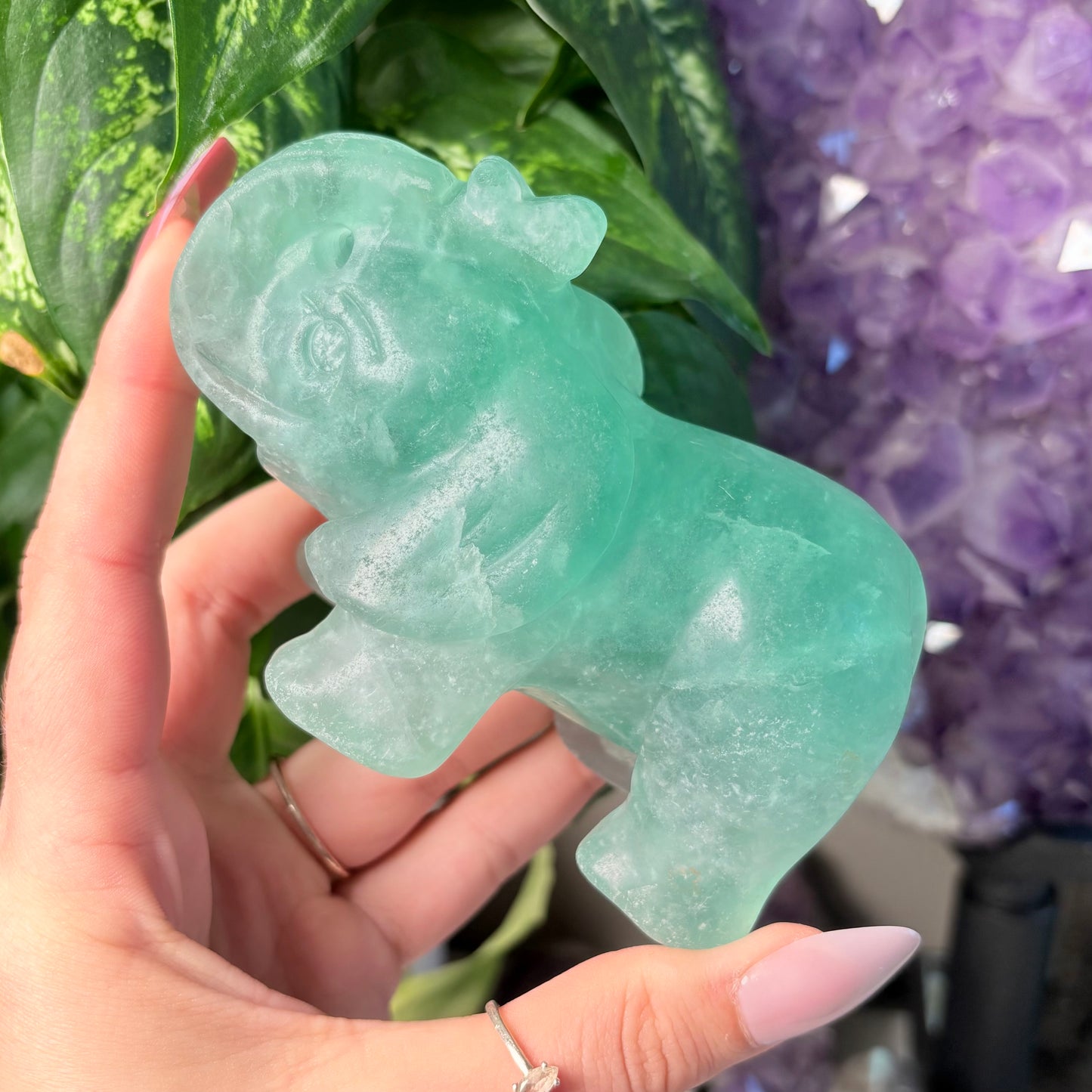 FLUORITE ELEPHANT