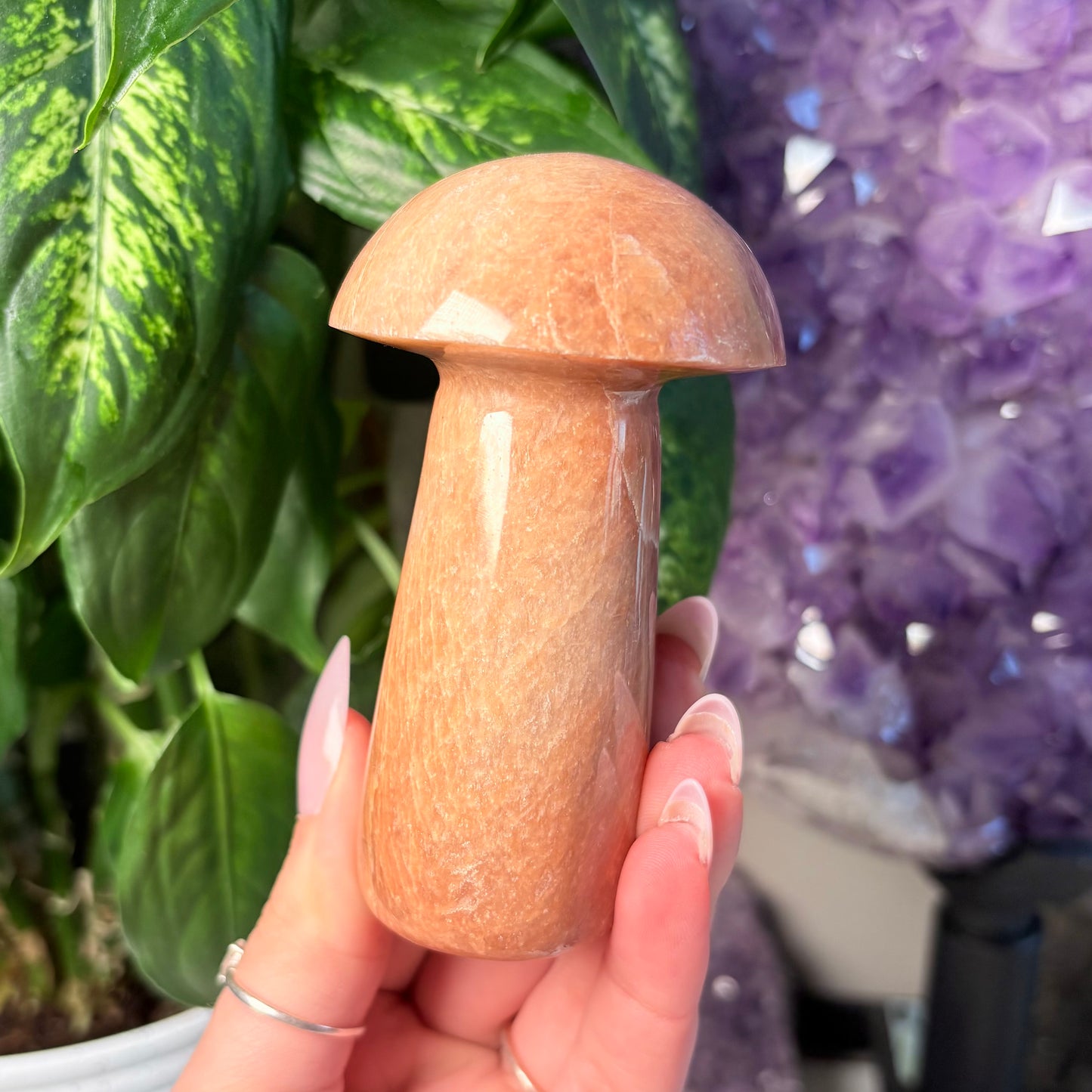 PEACH MOONSTONE MUSHROOM