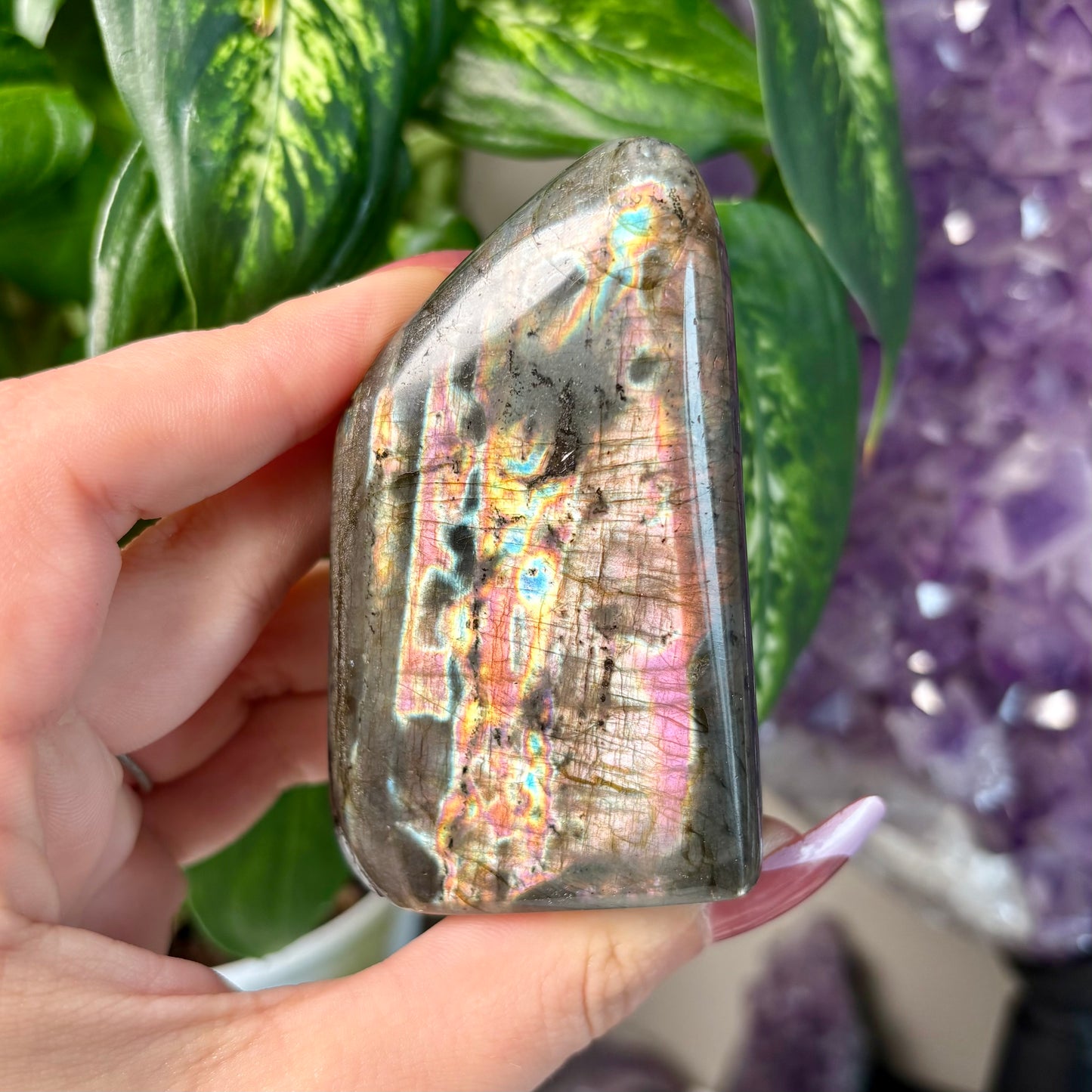 LABRADORITE FREEFORMS