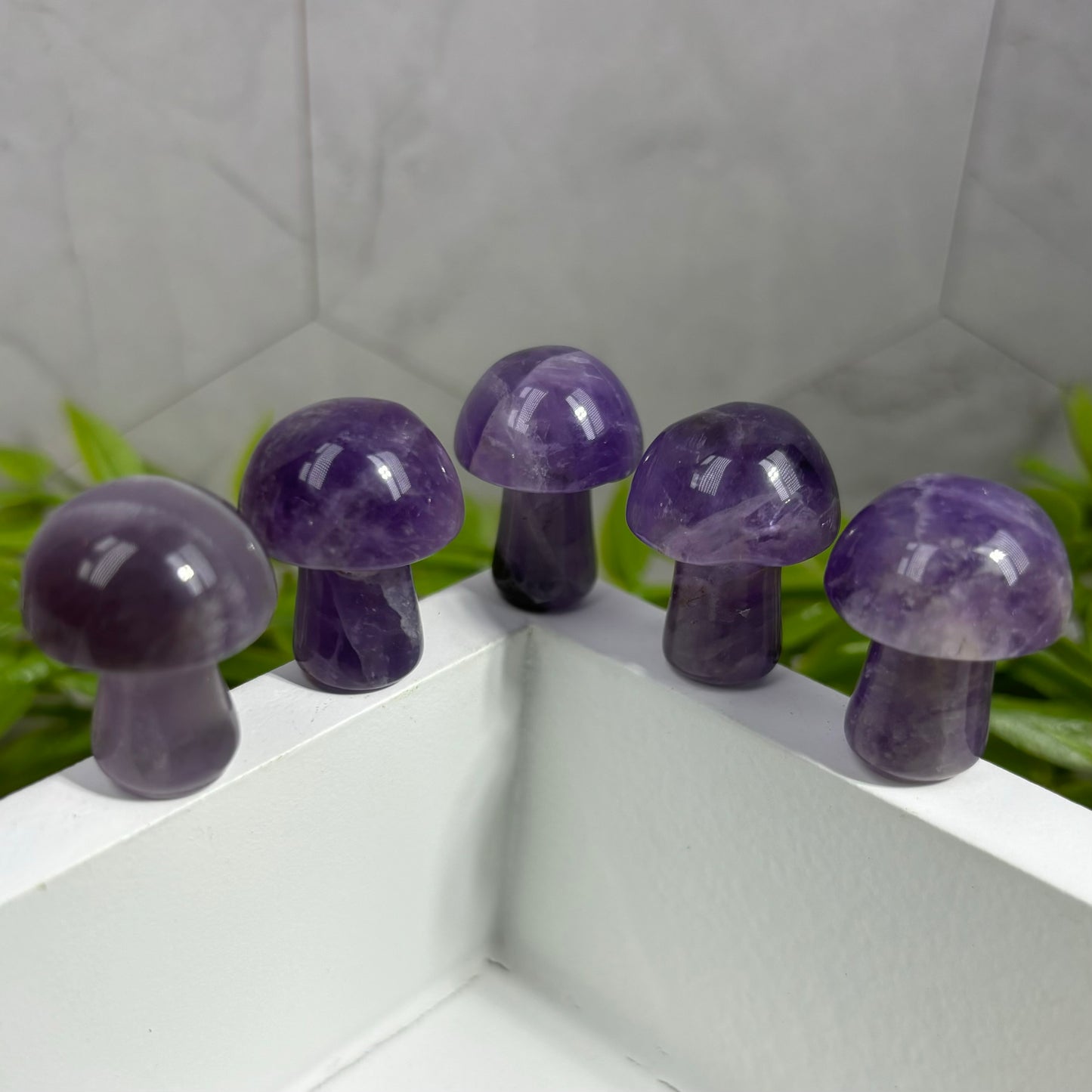 AMETHYST MUSHROOM