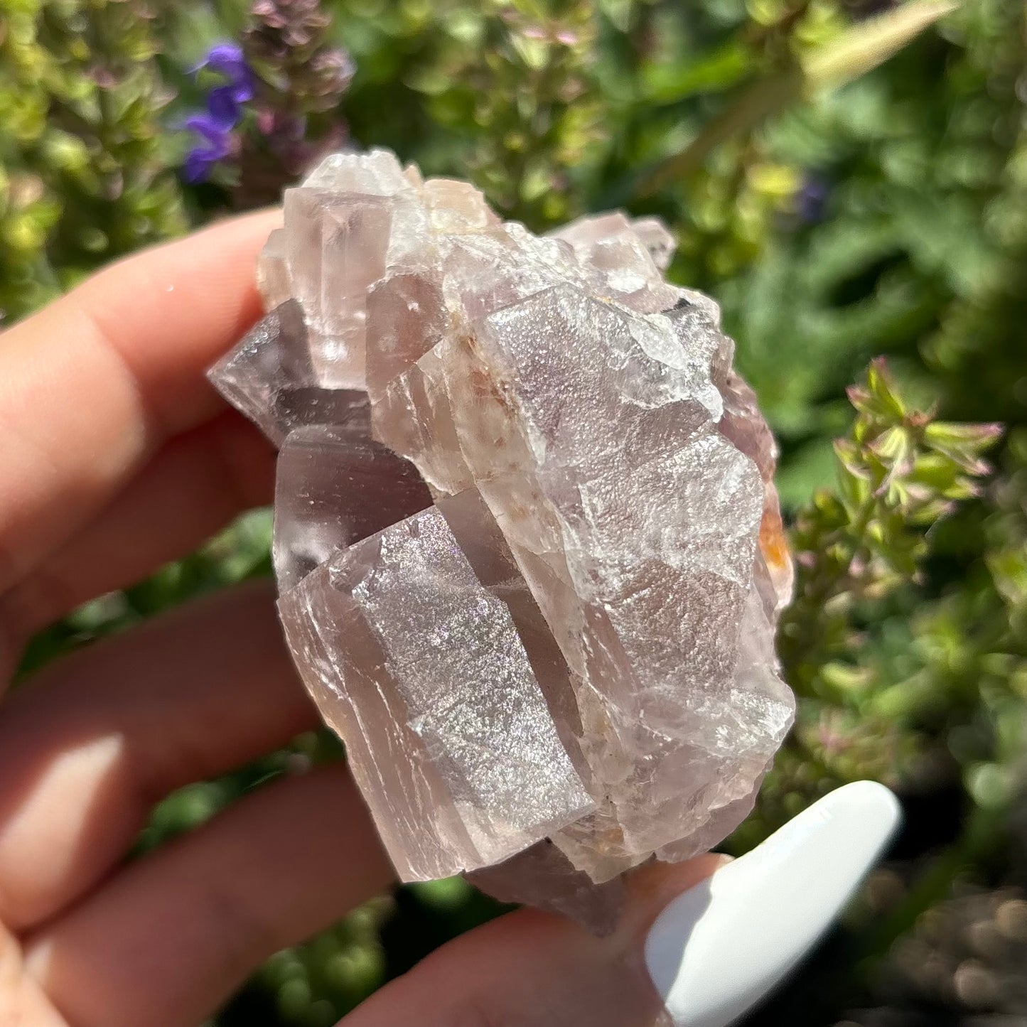 PURPLE FLUORITE (RAW)