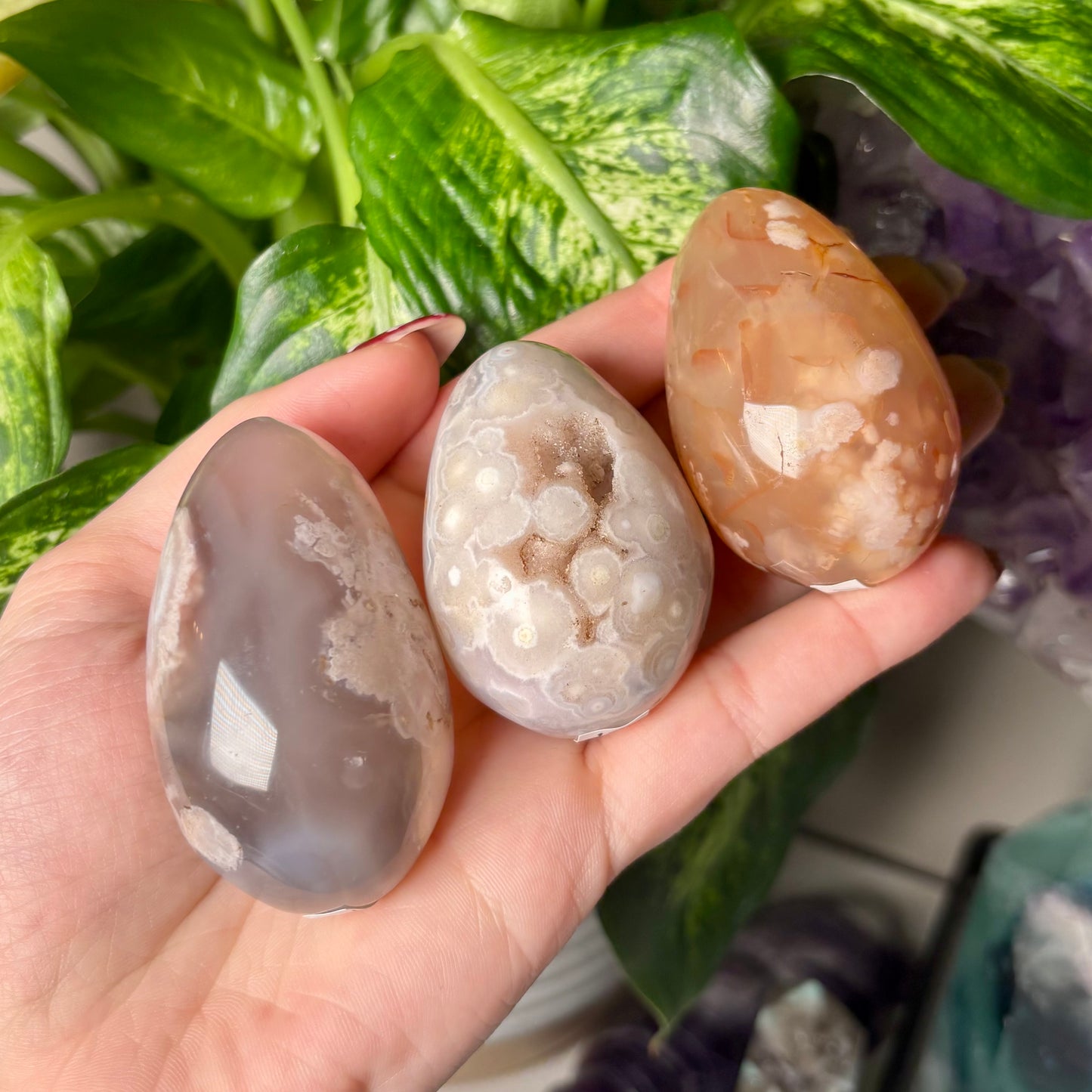 FLOWER AGATE EGGS