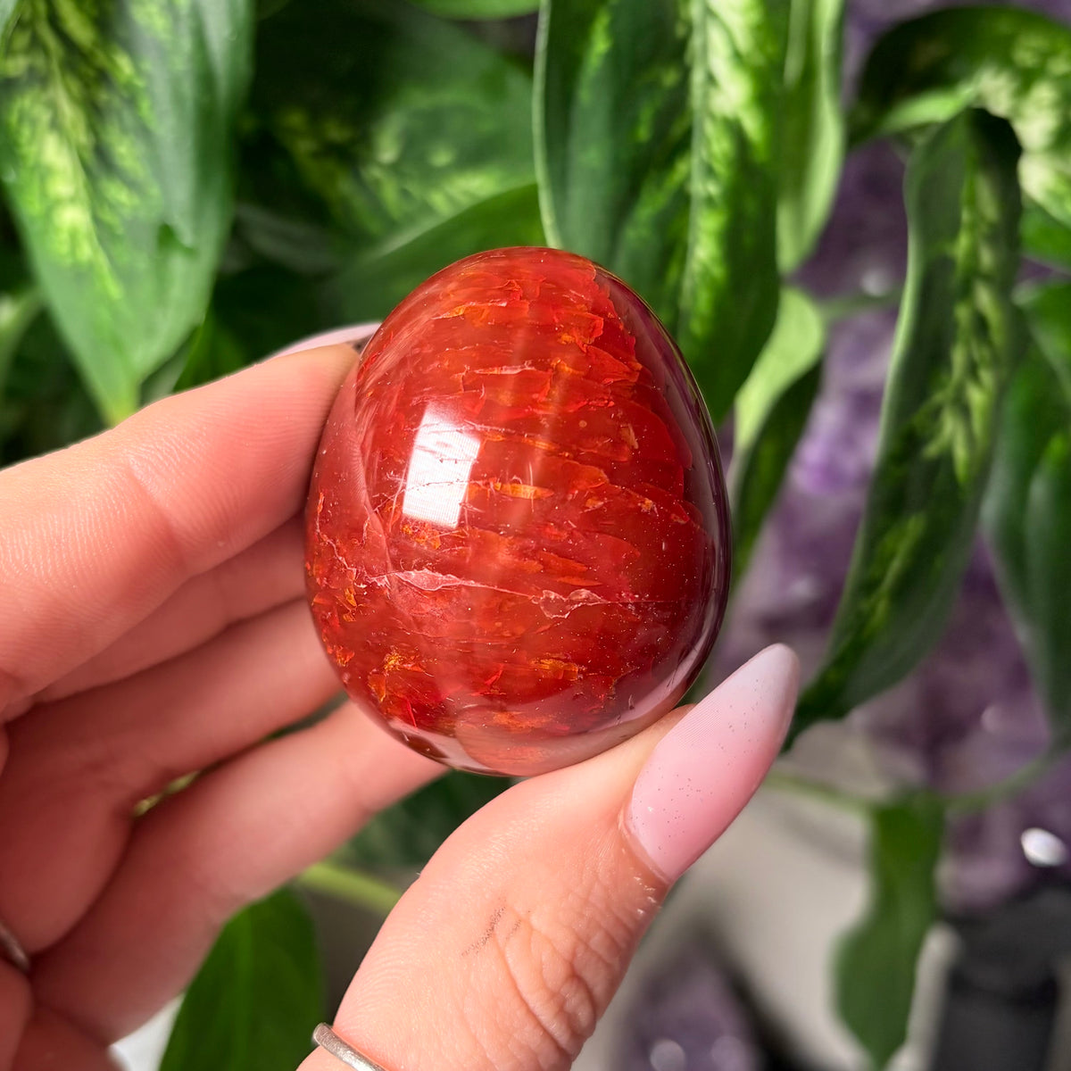 CARNELIAN EGGS