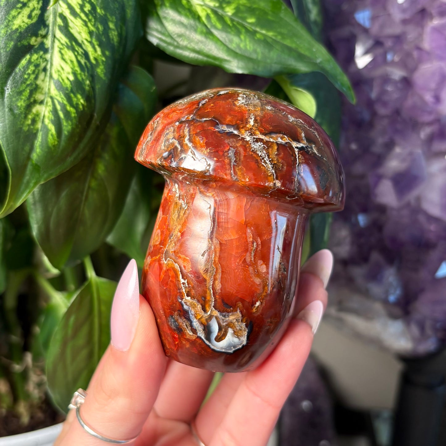 CARNELIAN MUSHROOM