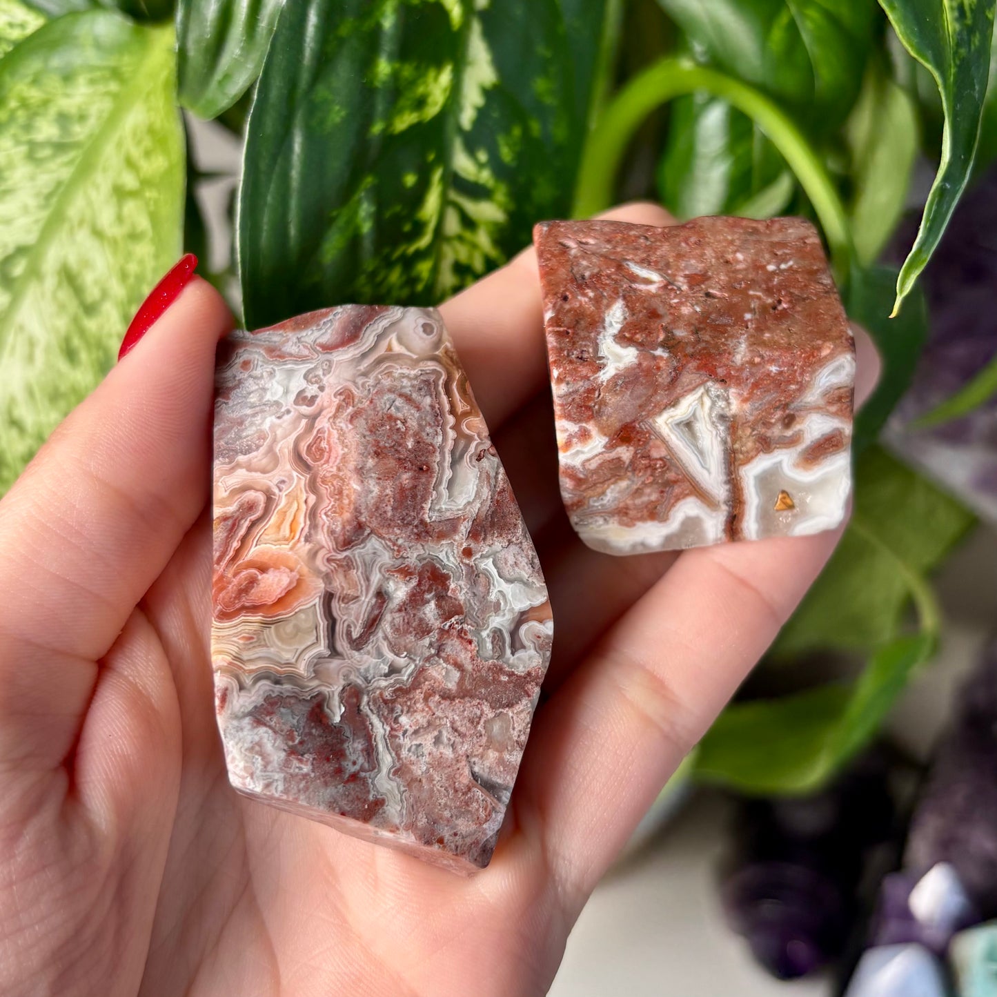 MOROCCAN AGATE FREEFORMS