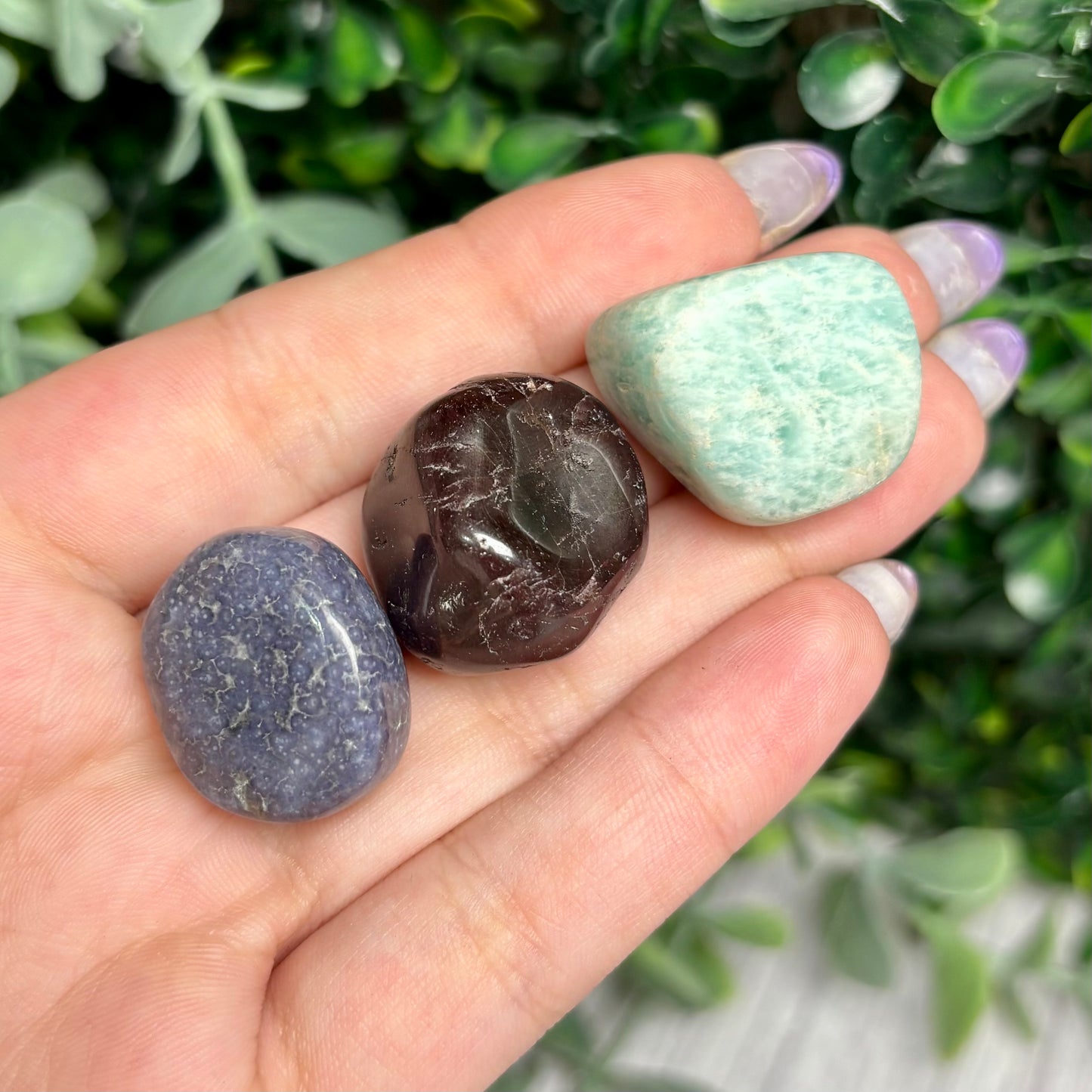 SIREN TUMBLE BUNDLE